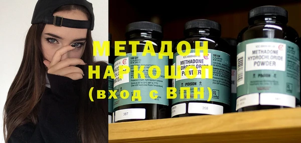 прущие грибы Верхний Тагил