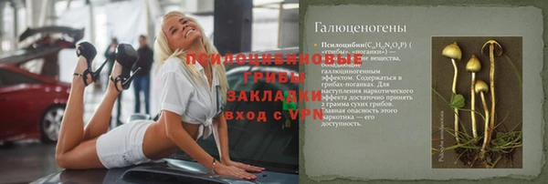 прущие грибы Верхний Тагил