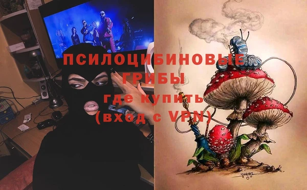 СК Верея
