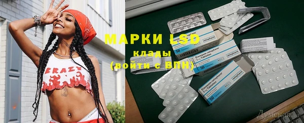 прущие грибы Верхний Тагил