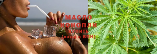 прущие грибы Верхний Тагил