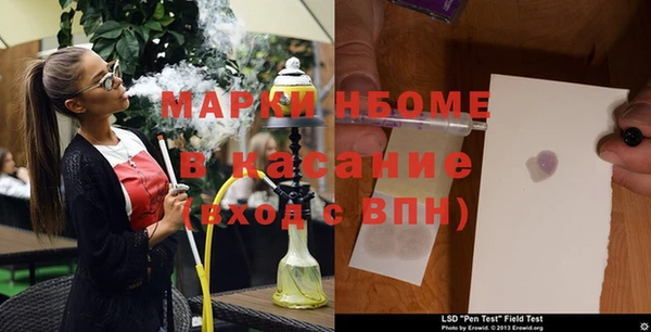 прущие грибы Верхний Тагил