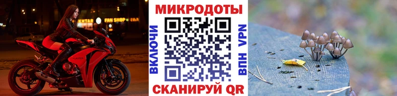 Купить где  Куртамыш  Псилоцибиновые грибы Magic Shrooms 